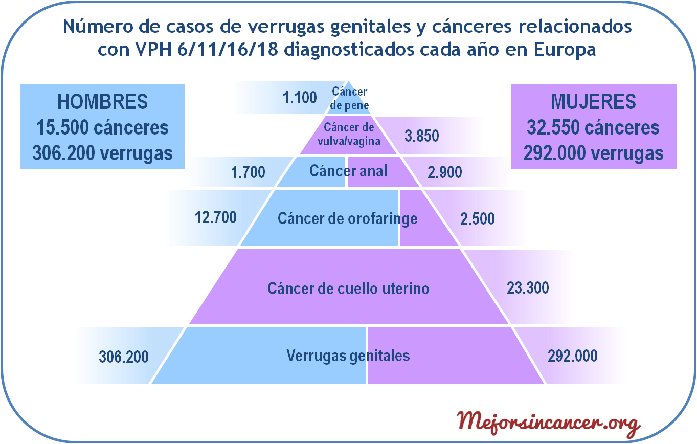 grafico_piramide_vacuna_papiloma_VPH_niños