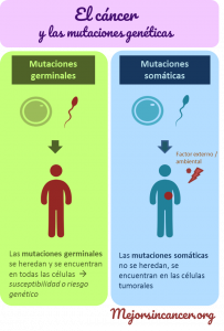 infografia_mutaciones_cancer_germinales_somaticas