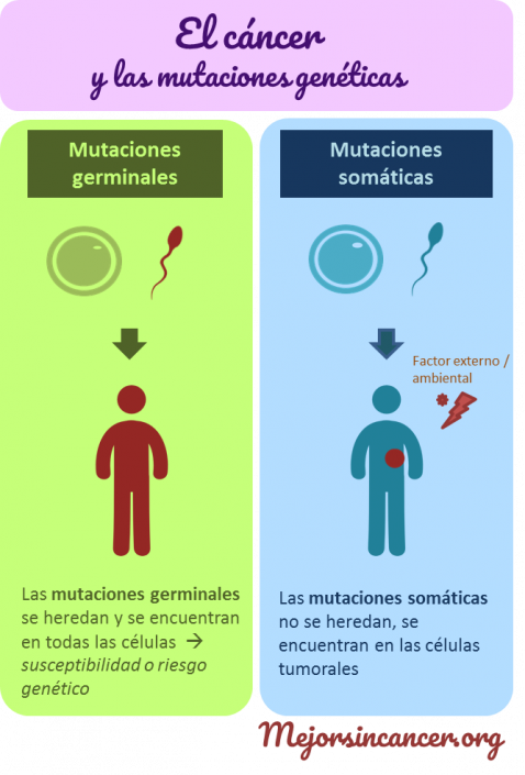Infografia mutaciones cancer germinales somaticas Mejor Sin C ncer infografia-mutaciones-cancer-germinales-somaticas-mejor-sin-c-ncer